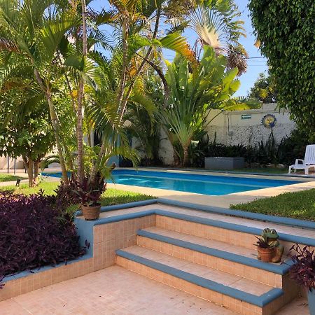 Suites Del Sureste - Mérida Exteriör bild